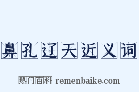 鼻孔辽天近义词是什么意思的图片